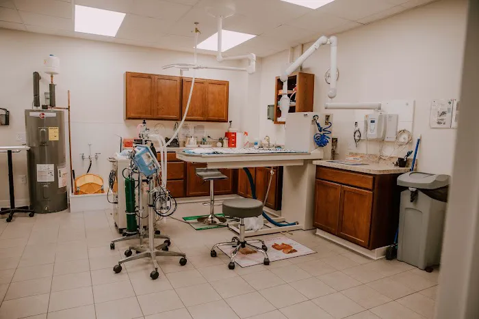 Annapolis Cat Hospital Picture 2
