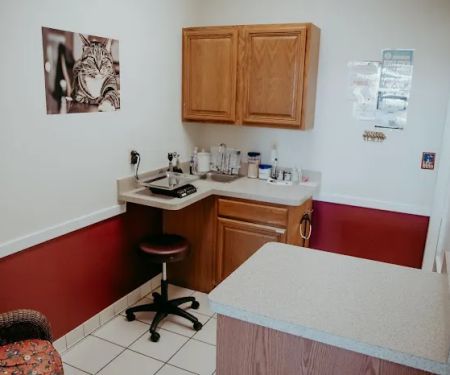 Annapolis Cat Hospital