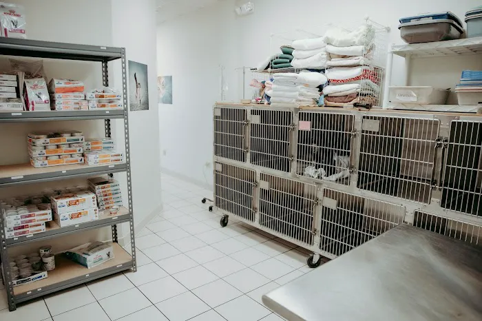 Annapolis Cat Hospital Picture 4