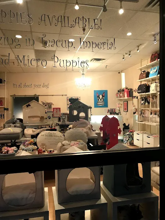 Woof Woof Puppies & Boutique Picture 2
