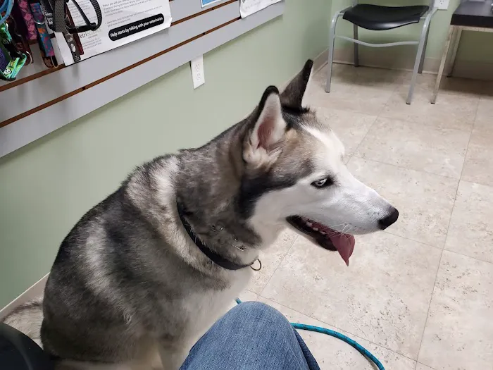 Bay Hills Animal Hospital Picture 8