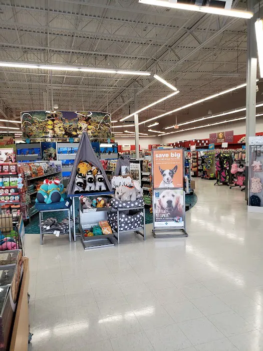 Petco Picture 6