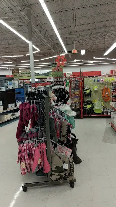 Petco Picture 2