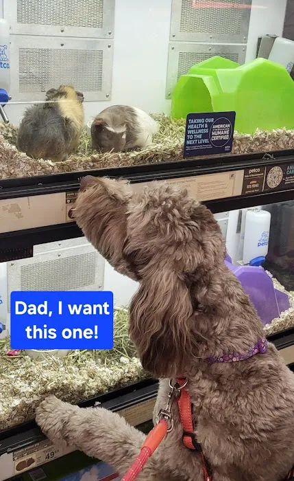 Petco Picture 7