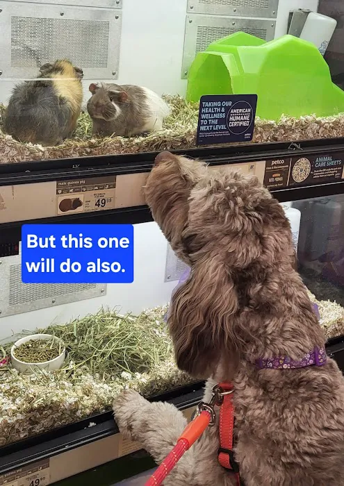 Petco Picture 8
