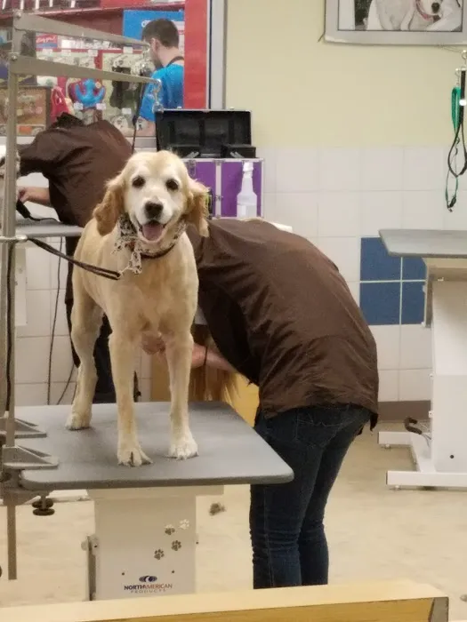 Petco Picture 9