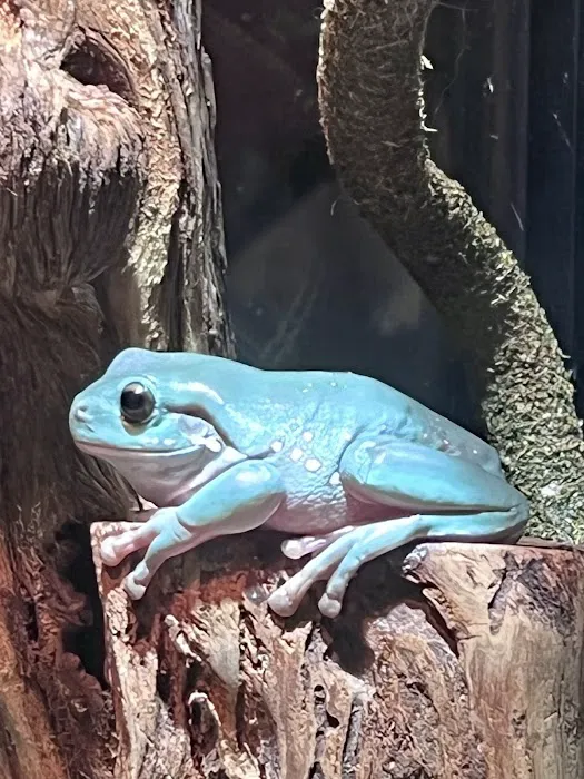 Classic Pet Supply Picture 3