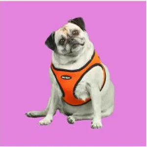 Classic Pet Supply Picture 1