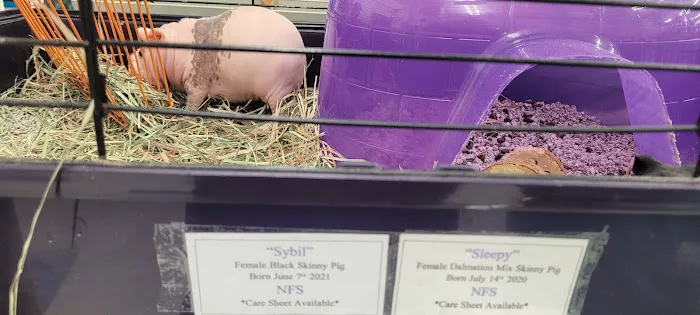 Classic Pet Supply Picture 8