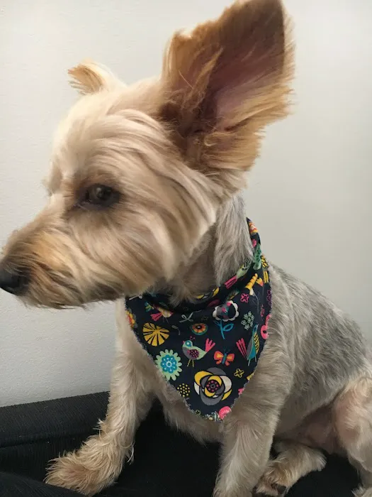A. Little Veterinary Clinic Picture 10