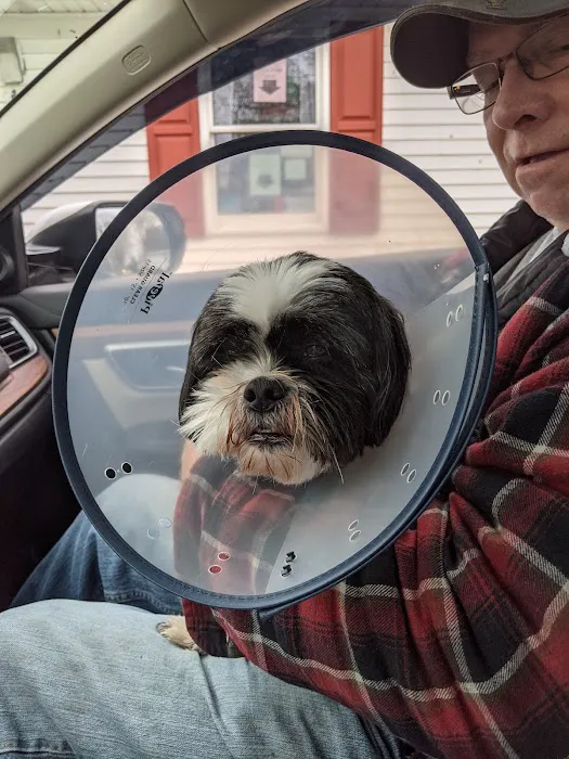 A. Little Veterinary Clinic Picture 9