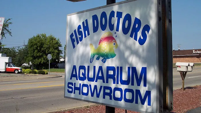 The Fish Doctors Picture 6