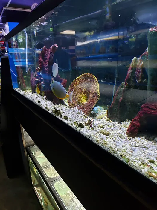The Fish Doctors Picture 8