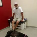 Western Sussex Animal Hospital, Inc.