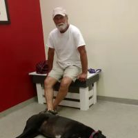 Western Sussex Animal Hospital, Inc. ico