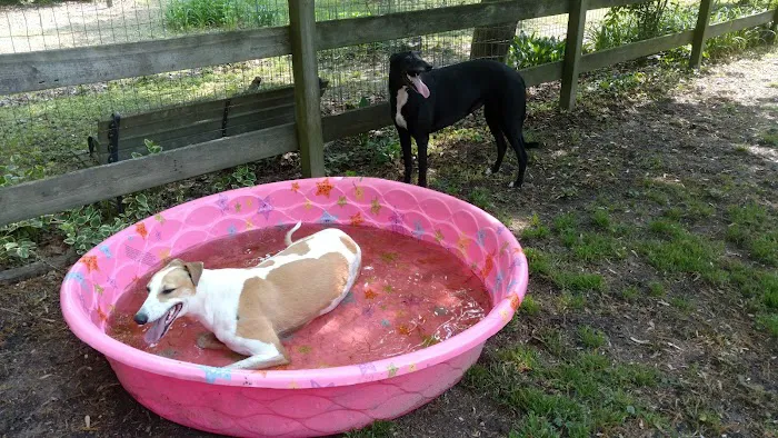 Western Sussex Animal Hospital, Inc. Picture 3