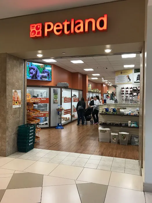 Petland Novi Picture 1