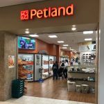 Petland Novi