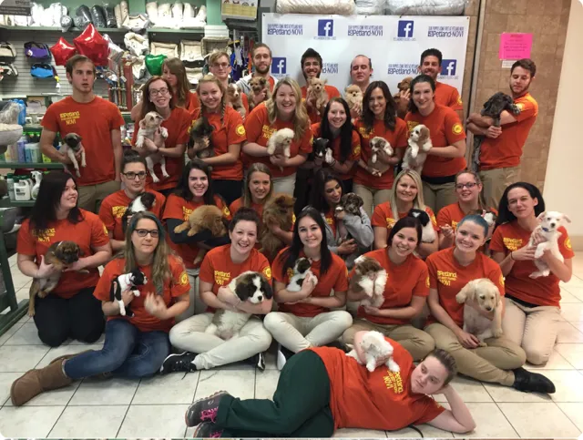 Petland Novi Picture 10