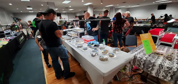 Glass City Exotics Expo Picture 4