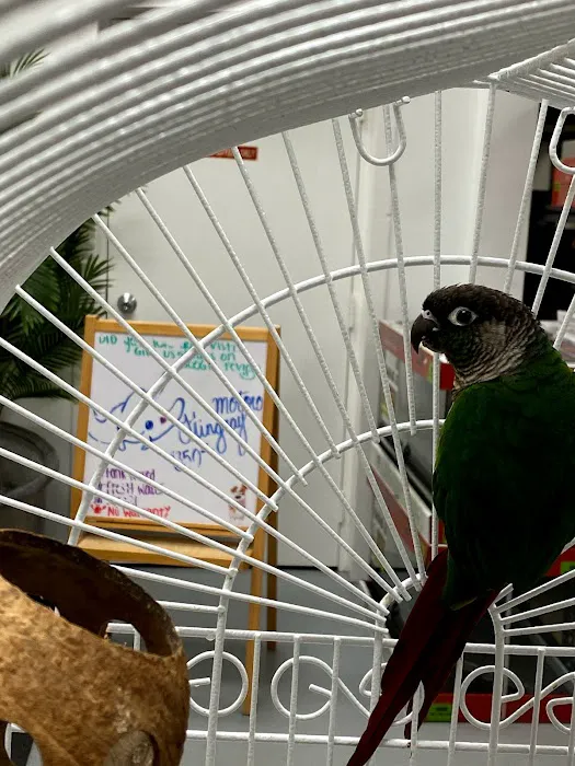 Blue Mountain Veterinary Care Picture 7