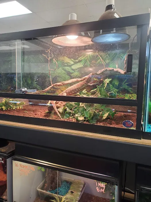 Blue Mountain Veterinary Care Picture 9