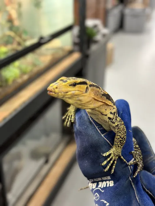 Blue Mountain Veterinary Care Picture 10