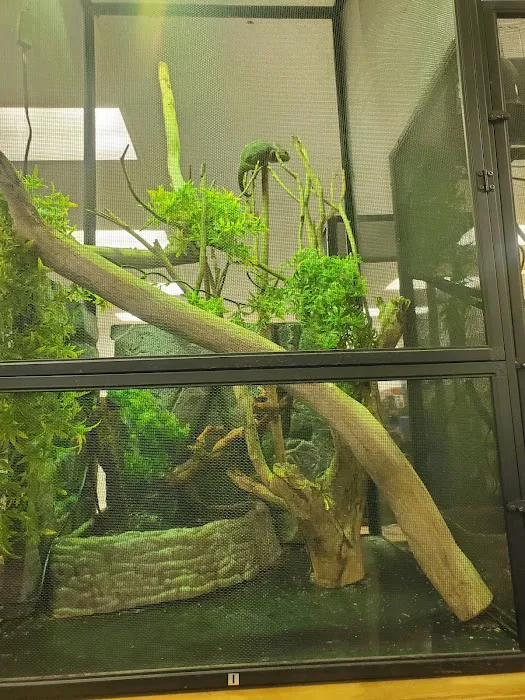 Blue Mountain Veterinary Care Picture 11