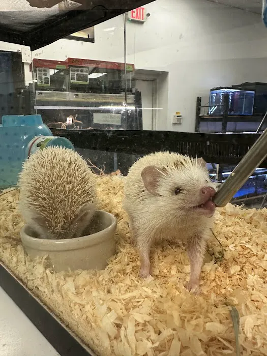 Blue Mountain Veterinary Care Picture 13