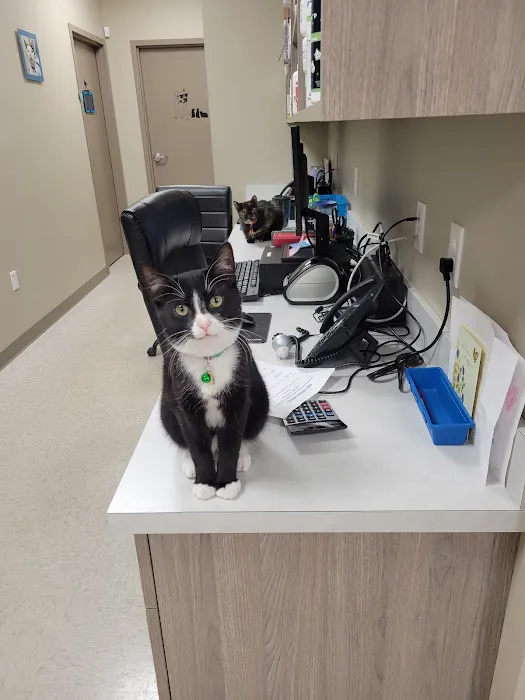 Blue Mountain Veterinary Care Picture 18