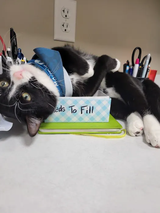 Blue Mountain Veterinary Care Picture 20