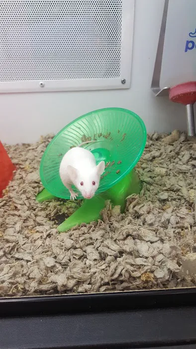 Petco Picture 3