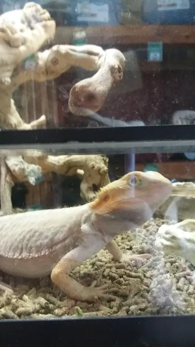 Pets 'n' Things Picture 5