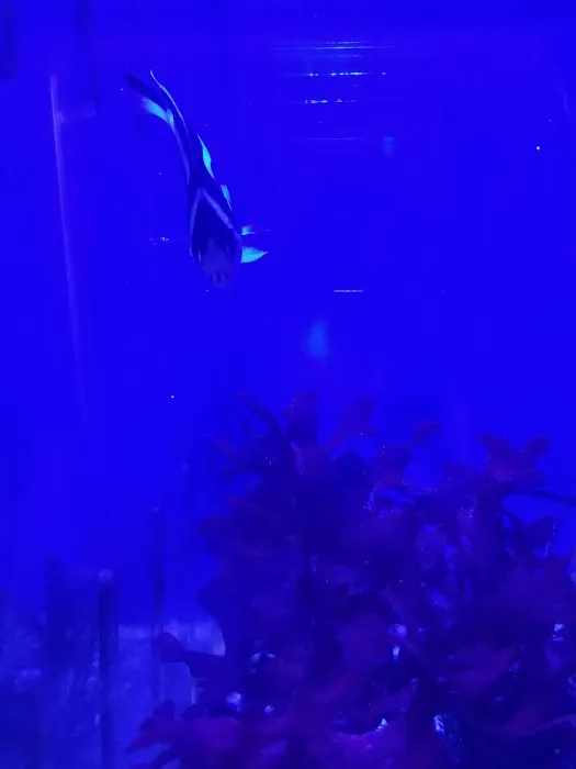 Aquarium World LLC Picture 1