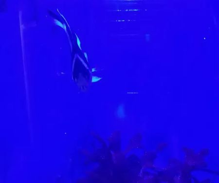 Aquarium World LLC