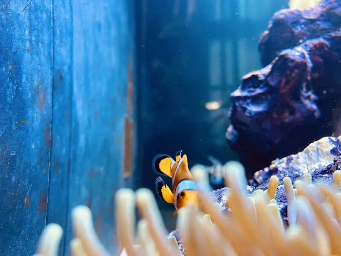 Aquarium World LLC Picture 2