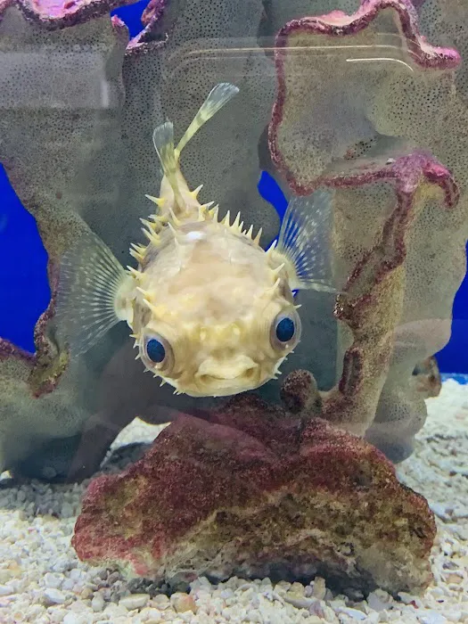 Aquarium World LLC Picture 3