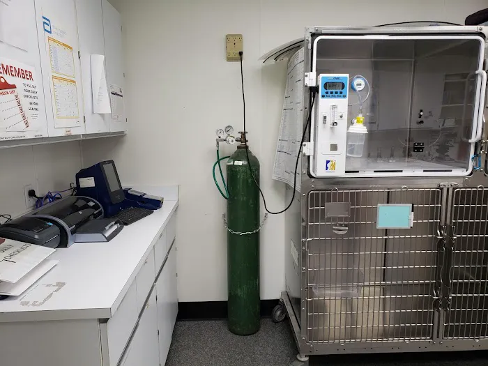 VCA West Shore Animal Hospital Picture 1