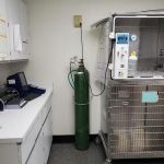 VCA West Shore Animal Hospital