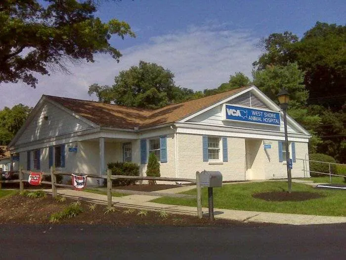 VCA West Shore Animal Hospital Picture 2