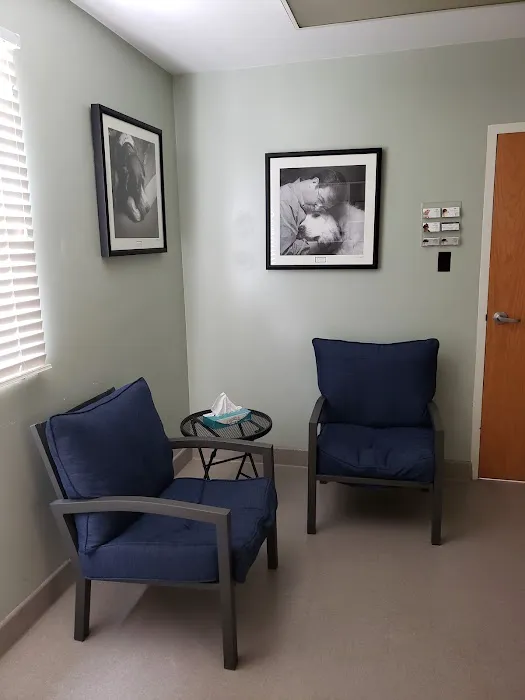VCA West Shore Animal Hospital Picture 3
