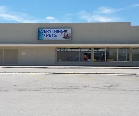 Everything for Pets