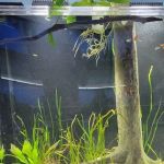 Method Aquatics