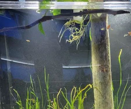 Method Aquatics