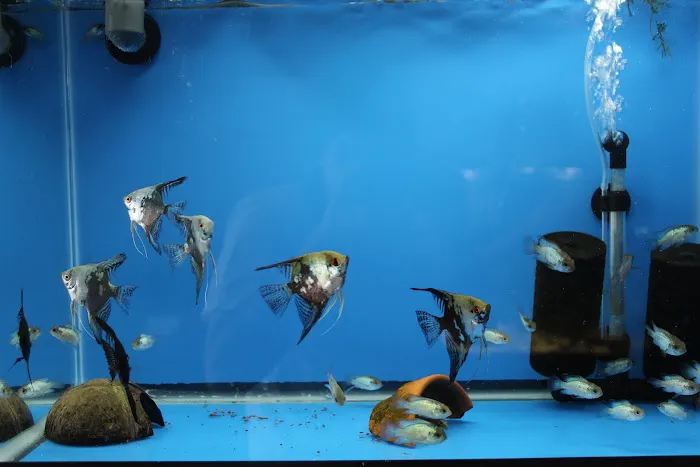 Method Aquatics Picture 2
