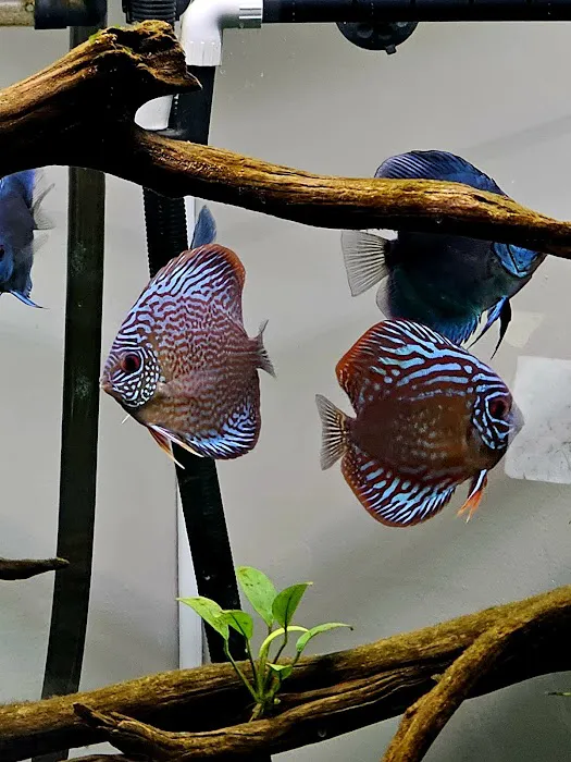Method Aquatics Picture 3