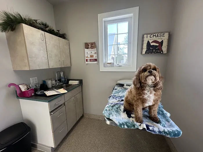 Countryside Animal Clinic - Kurt Krusen DVM Picture 2