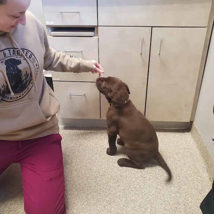 Countryside Animal Clinic - Kurt Krusen DVM Picture 3