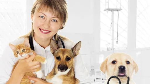 Healing Creatures Animal Hospital Picture 1