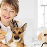 Healing Creatures Animal Hospital